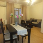 apartament-de-vanzare-3-camere-Bucurestii-Noi