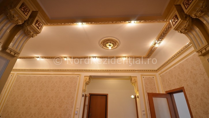 Apartament 6 camere de vanzare Romana